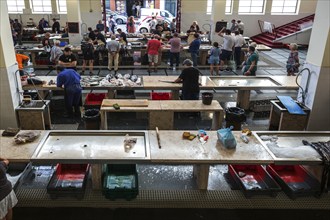 View into the fish hall, Market, Fish market, Market hall Mercado dos Lavradores, Funchal, Madeira