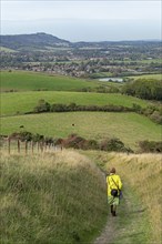 Woman, footpath near Upper Beeding, South Downs, West Sussex, England, Great Britain