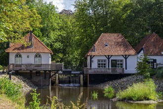 Watermill Den Helder Ober-Slinge, Winterswijk, Achterhoek, municipality of Gelderland, Niederla