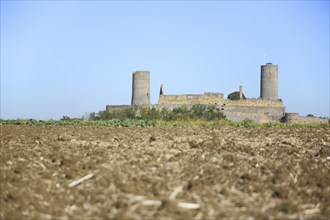 View of Münzenberg Castle, blur, field, Wetterau, Hesse, Germany, Europe