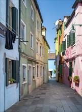 Colourful houses, colourful facades, alleyways on the island of Burano, Venice, Veneto, Italy,