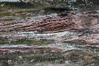 Eroded red sandstone, old castle rock, close-up, natural and cultural monument, Brechenberg near