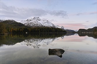 Morning atmosphere at Lake Sils behind Piz da la Margna, Sils, Engadin, Canton Graubünden,