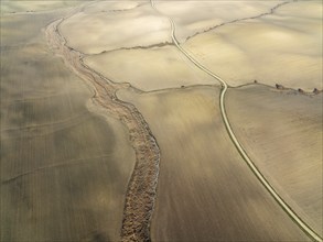 Cultivated fields in winter in the Campiña Cordobesa, the fertile rural area south of the town of