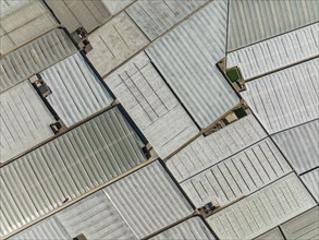 Masses of shimmering plastic greenhouses near El Ejido, aerial view, drone shot, Almería province,