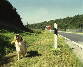 DEU, Germany: The historical colour photos from the times of the 70s show events and persons from