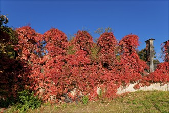 Autumn colours in the park of Albrechtsberg Castle