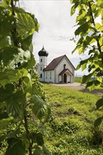 Chapel and hop gardens, hop growing, hop plantation, St George's Chapel, St George's Chapel,