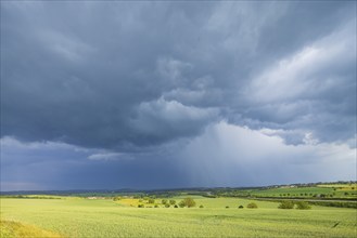 Thunderstorm cell over fields near Krebs in the Osterzgebirge, Krebs, Saxony, Germany, Europe