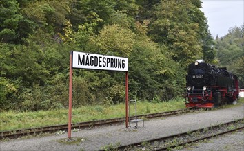 Selketalbahn, Harzer Schmalspurbahn, Brockenbahn runs through the Harz Mountains, Saxony-Anhalt,