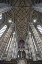 Interior with net vaulting and organ loft, organ built in 1997, late Gothic hall church of St