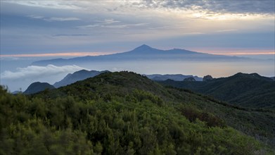 Sunrise, view of Mount Teide from Alto de Garajonay, Tenerife, Garajonay National Park, La Gomera,