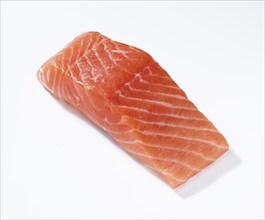 Salmon (Salmo), salmon fillet, portioned, on white background, studio shot