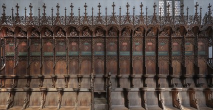 Late Gothic choir stalls from 1507, St Martin, Memmingen, Bavaria, Germany, Europe