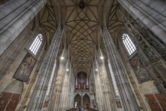 Interior with net vaulting and organ loft, organ built in 1997, late Gothic hall church of St