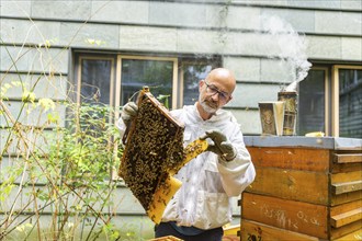 Jens Ardelt hiving a beehive. Since the beginning of 2023, 500, 000 new employees have been working