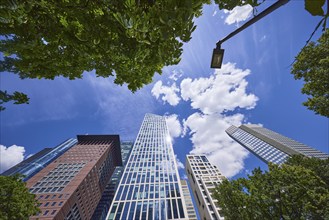 Skyscraper Japan Centre, Taunus Tower, a lantern and chestnut tree under blue sky with small