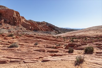 Layered rock formations along the Fire Wave Trail at Valley of Fire State Park near Overton,