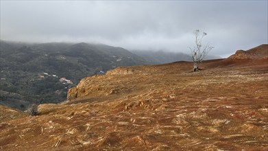 Various colourful rock layers in the rock, La Gomera, Canary Islands, Spain, Europe