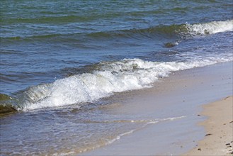 Waves, swell, surf, beach, Baltic Sea, Darßer Ort, Born a. Darß, Mecklenburg-Vorpommern, Germany,