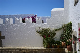 Courtyard with white walls and flowering plants in terracotta pots, Zoodochou Pigis Monastery, The