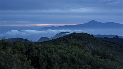 Sunrise, view of Mount Teide from Alto de Garajonay, Tenerife, Garajonay National Park, La Gomera,