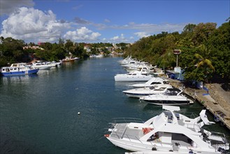 Sunny view of a marina with white yachts and a coastal town, boats on the Dulce River, La Romana,