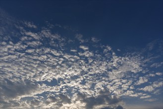 Large fleecy clouds (Altocumulus), Bavaria, Germany, Europe