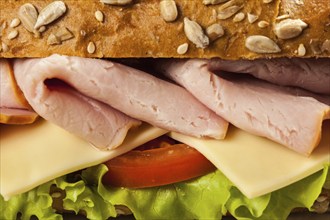 Ham sandwich with lettuce, cheese, tomato close up