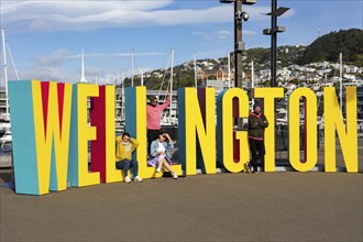 Harbour, Wellington, New Zealand, Oceania