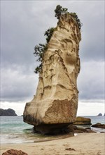 Monolithic rock, overgrown with plants, on a beach under a dramatic sky, Cathedral Grove,