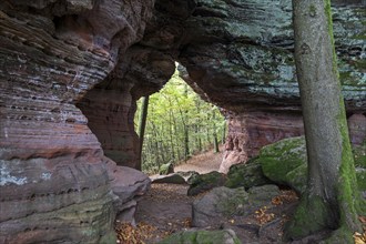 Old castle rock, red sandstone rock formation, natural and cultural monument, Brechenberg near