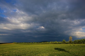 Field near Liebenau