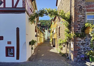 Decorated narrow lane at the Storchenhaus half-timbered house with wine arch and high-water marks,