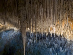 Caves of Drach, Coves del Drac, Porto Christo, Majorca, Balearic Islands, Spain, Mediterranean Sea,