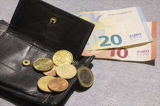 Wallet with coins and notes, euro, Germany, Europe