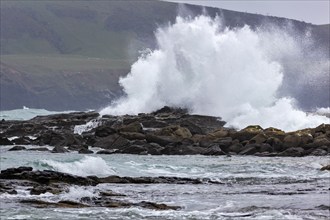 Waves, Curio Bay, Südland, Neuseeland