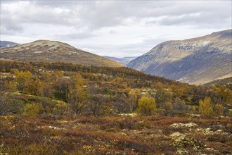 Autumn landscape in Dovrefjell-Sunndalsfjella National Park, Hjerkinn, Norway, Europe