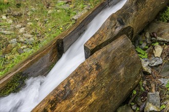 Detail of the wooden channel of the Kandelwaal, Martell, South Tyrol, Italy, Europe