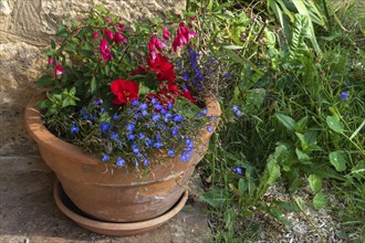 Flowerpots as a decoration in a country house. France