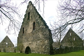 Altzella Monastery