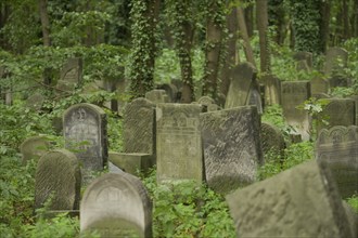 Gravestones, Jewish cemetery at Okopowa Street, Warsaw, Mazovian Voivodeship, Poland, Europe