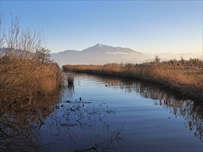 Lorze flows into Lake Zug, Rigi in the background, view of the Alps. Cham, Canton of Zug,