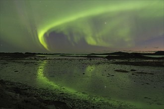 Northern lights (aurora borealis) reflected in the water, fjord at low tide, Offersöy, FV 17,