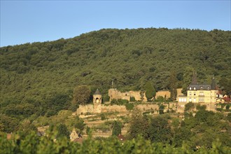 Winzingen Castle and Haardt Castle, Neustadt an der Weinstraße, Palatinate Forest,