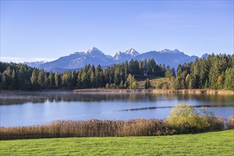 Hegratsrieder See near Füssen, Allgäu Alps, Allgäu, Bavaria, Germany, Europe