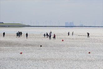 Tourists at low tide in the mudflats, Wadden Sea National Park, Norddeich, Norden, East Frisia,