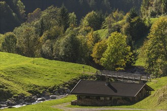 Agriculture, Alpine pasture in the Zillergrund valley, Alpine pasture, Ziller mountain stream,