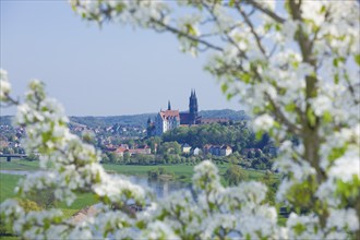 View of Meissen in the Elbe valley