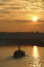 Elbe steamer in Pirna